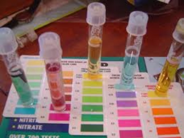 Chemical Tests