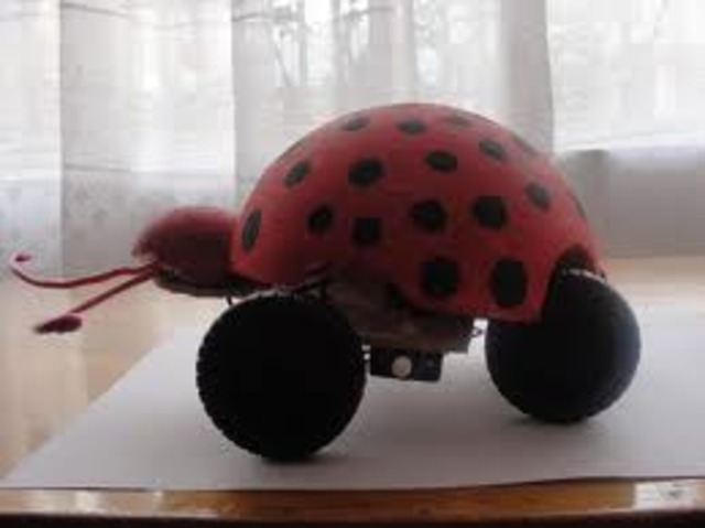 Finalizacion proyecto