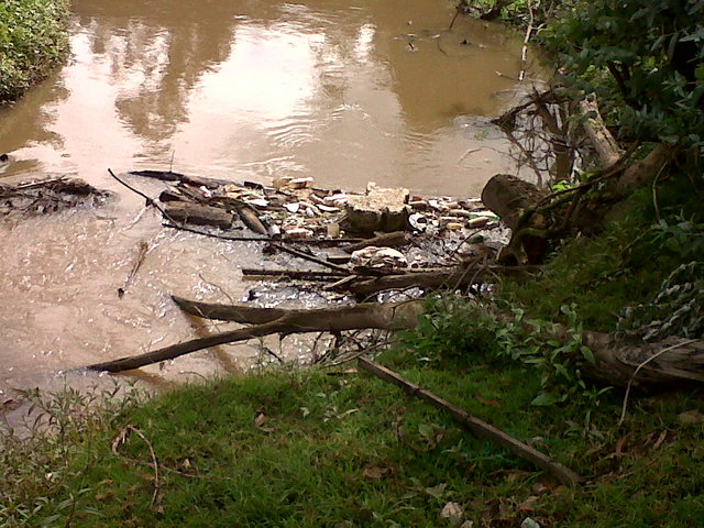 DBO refleja una gran cantidad de contaminación orgánica y en este rio hay 2.476 miligramos por litro, mientras que 100 metros aguas arriba es de 15 miligramos por litro.