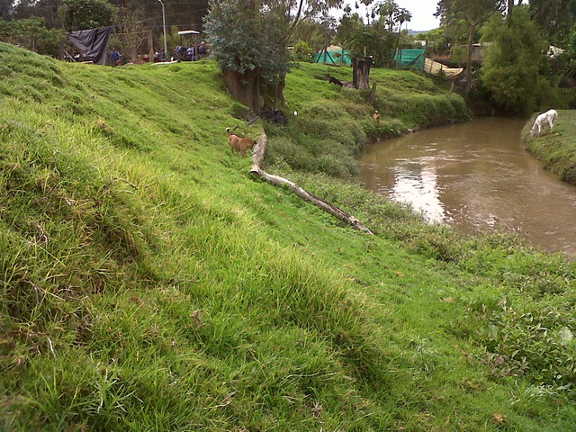 temperatura promedio de 14°C