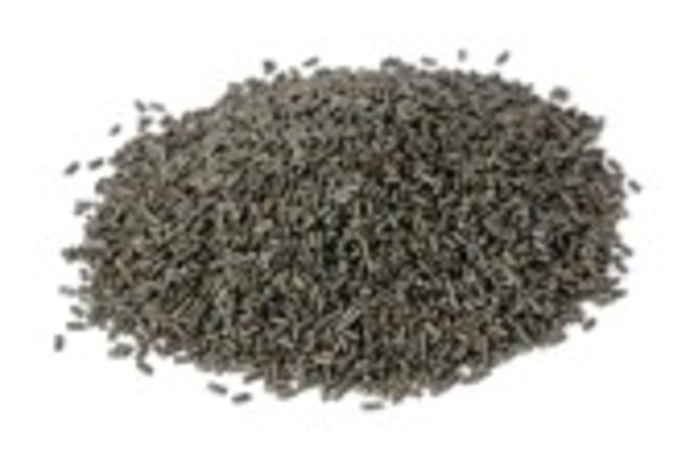 invento de la polvora