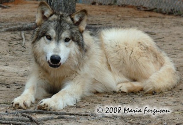 First book I remember enjoying