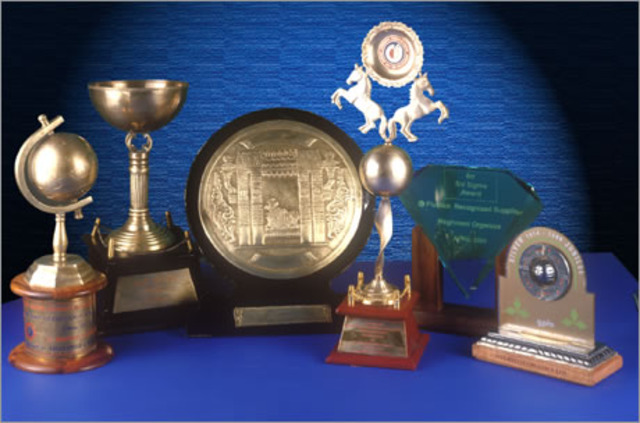 Ella gano el premio por mejor atrtisa femenina del ano