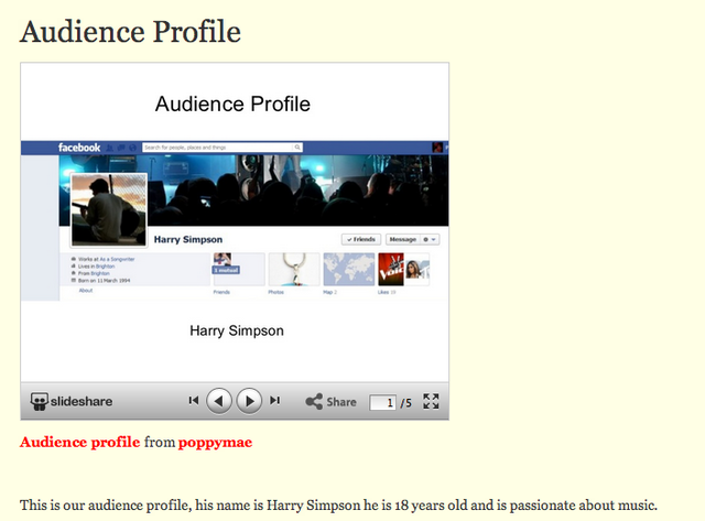 Audience Profile
