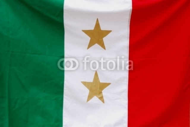 Merger of Coahulia y Texas