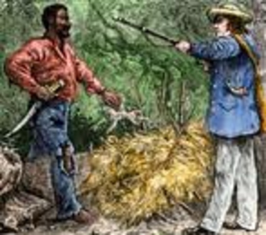 Nate Turner's Rebellion