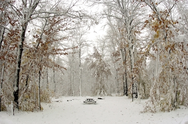 Went to Pennsylvania