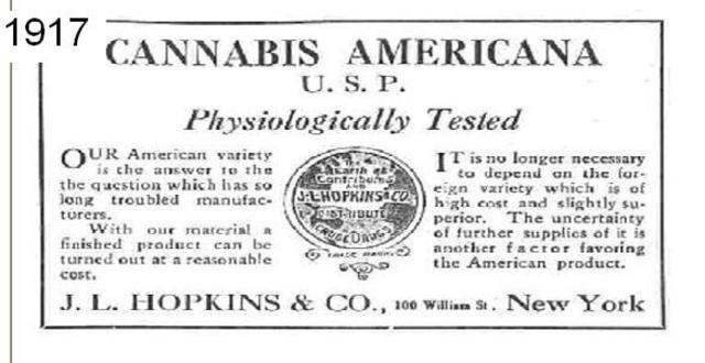 Advertisement