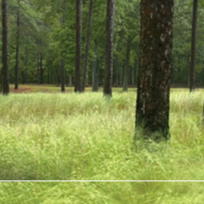 Timeline: Battle of Cold Harbor