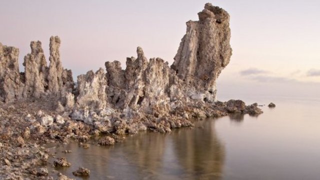 Descoberta de bactéria que se alimenta de arsênio