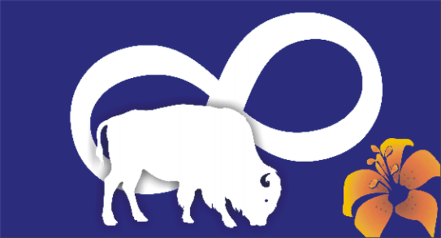 Metis List of Rights