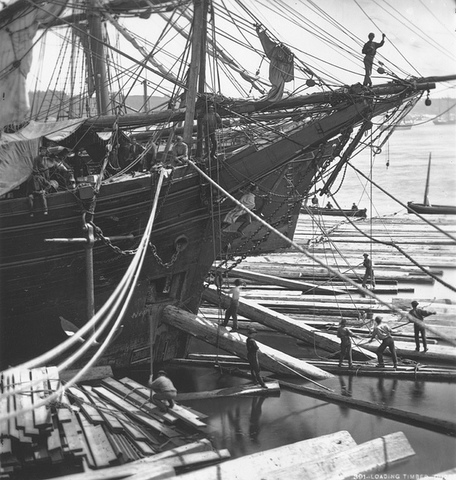 Timber replaces fur as the main export.