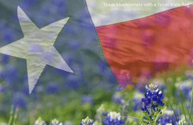 De Vaca discovers Texas