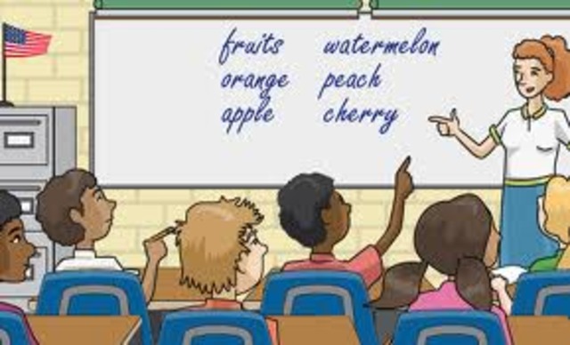 English  the language of instruction only in secondary school