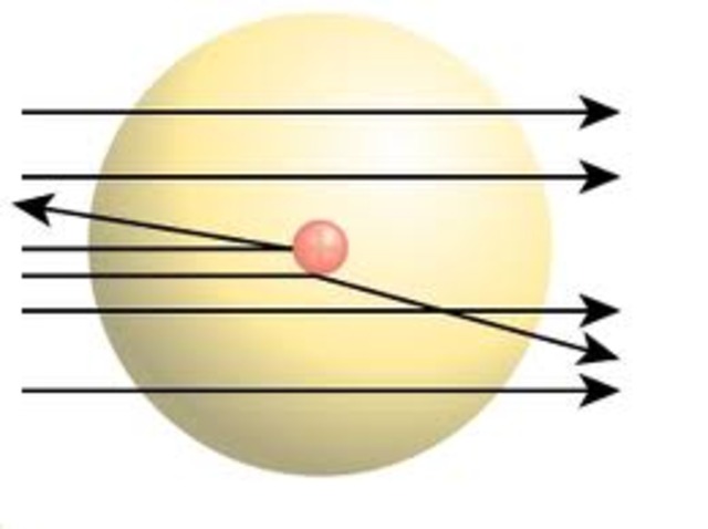 Discovery of the Nucleous