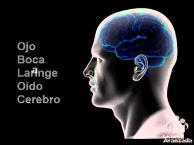 Curso de lectura rápida