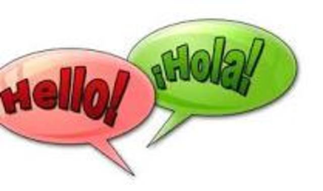 Bilingual project for the universities