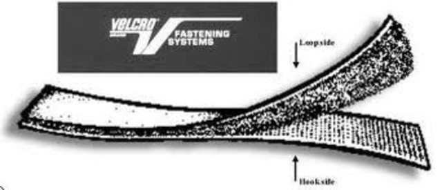 El velcro