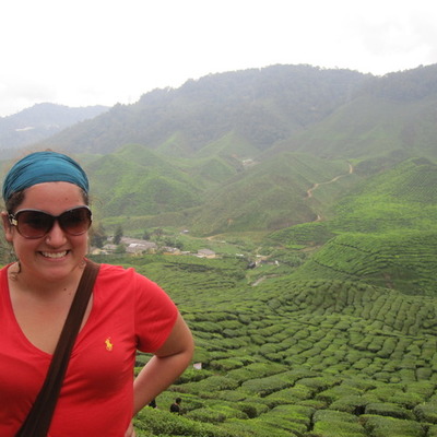 Timeline: Cara_D_PSY315