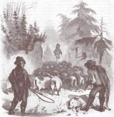 Drovers Road and trade