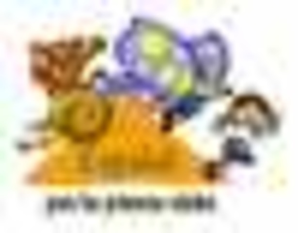 Spanish only for first grade