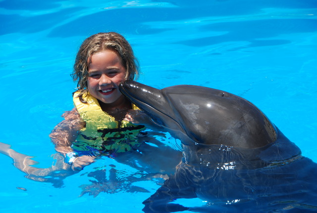 Me and a Dolphin