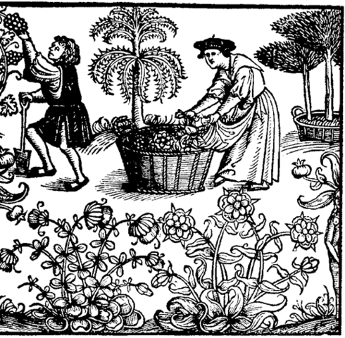 Czar Alexander II Emancipates the Serfs