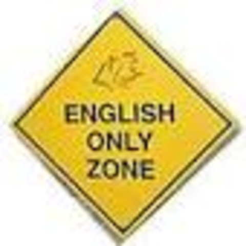 1913 English official language