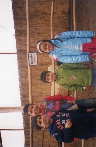 Mi paseo a la granja villa