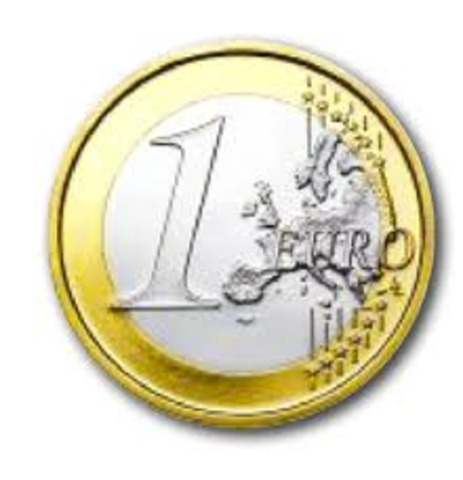 Euro is established