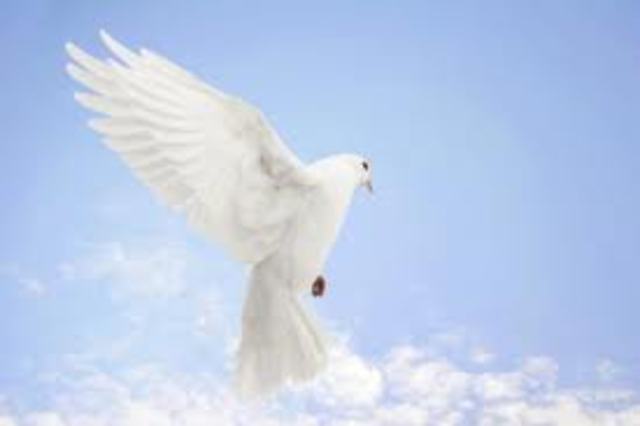 International Day of Peace