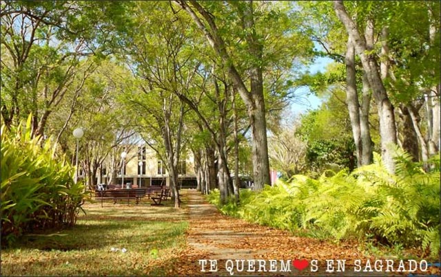 Four projects for the Department of Education are approved