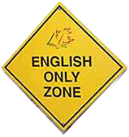 English dominated Puerto Rican Public Education