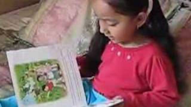 Bilingual projects in Puerto Rico