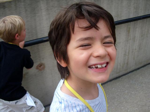 Volunteering at Carnegie Museum