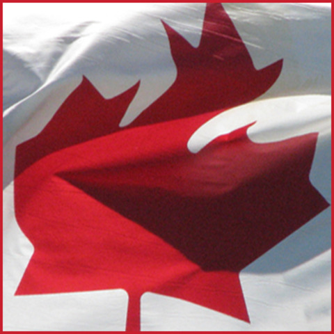 Report titled Implementation on Official Language Act