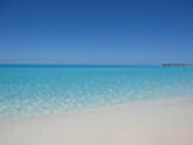 Christopher Columbus lands in Bahamas