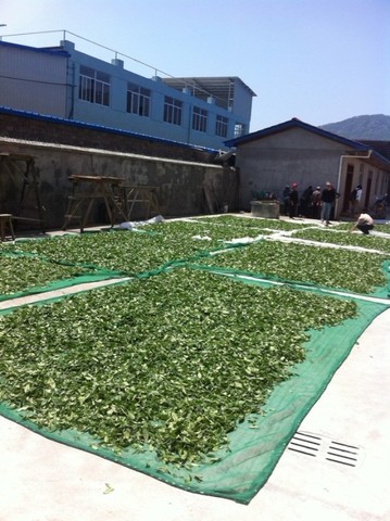 Sun-drying and Baking