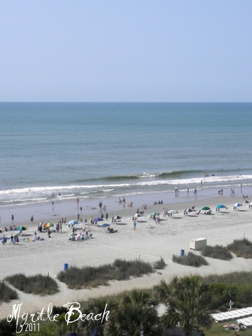 Hace un año que visité la playa de Myrtle.  Fui con mi familia y mi amiga Danielle.