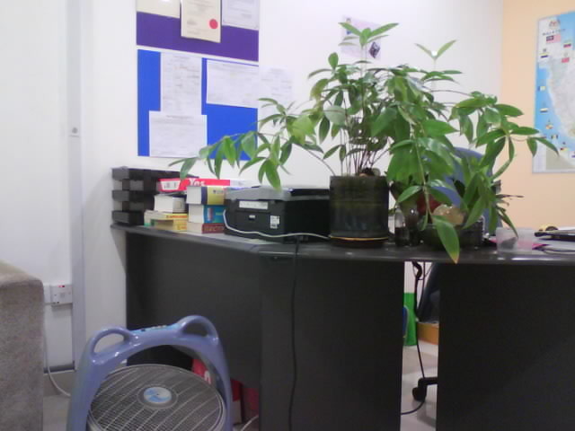 My Last Tuition Center