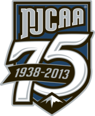 National Championship Match for Volleyball