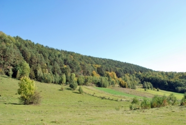 Кременець: церква Святого Миколая - Замкова гора