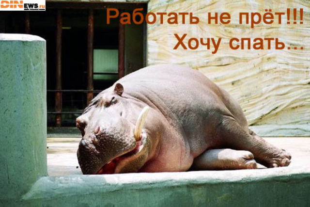 Спааааать....