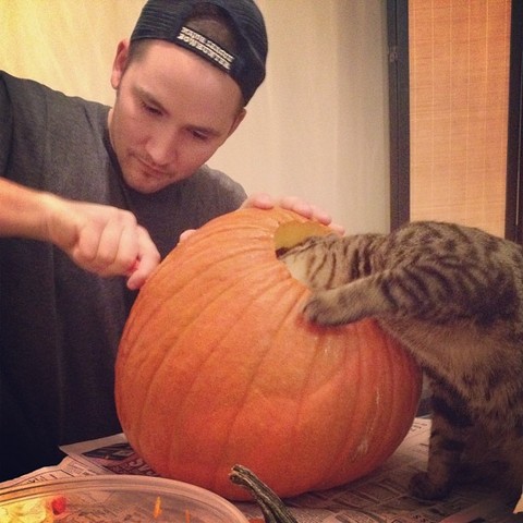 Dos noches atrás que, calabazas talladas con mi novia. Su gato tiene la cabeza metida dentro de la calabaza!