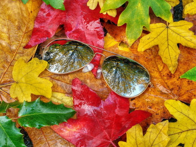 29 сентября, в Виннице ясно