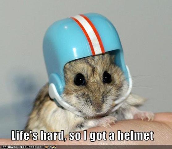 life was hard being me