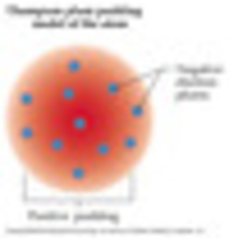 Plum pudding model- theory