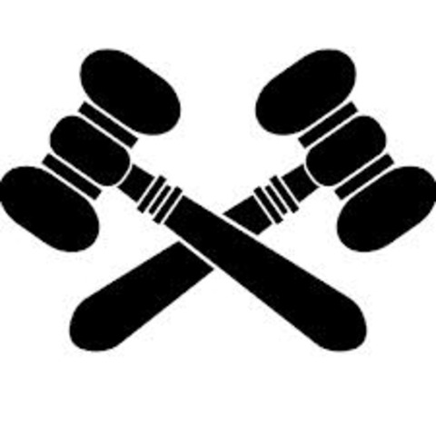 Mexican federal consitution