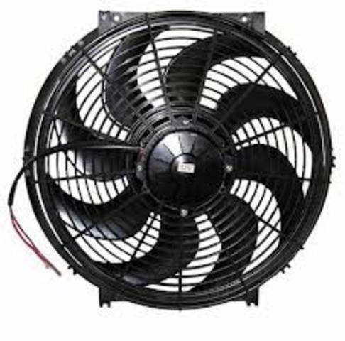 Fan