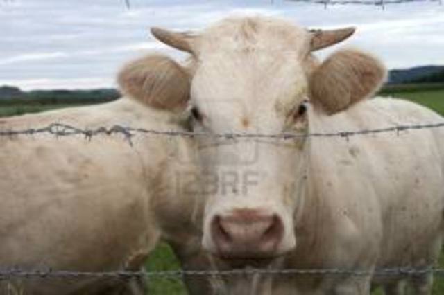 Joseph Glidden patented Barbed Wire